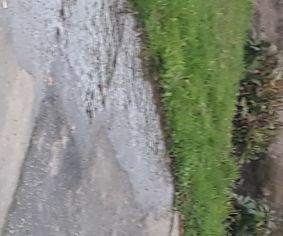 The photograph attached to this water supply report