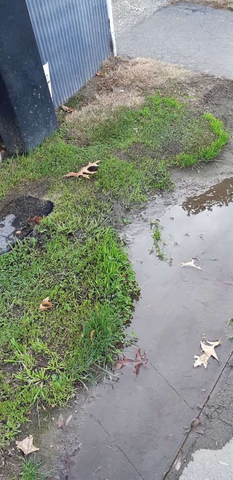 Water Supply, a report photo