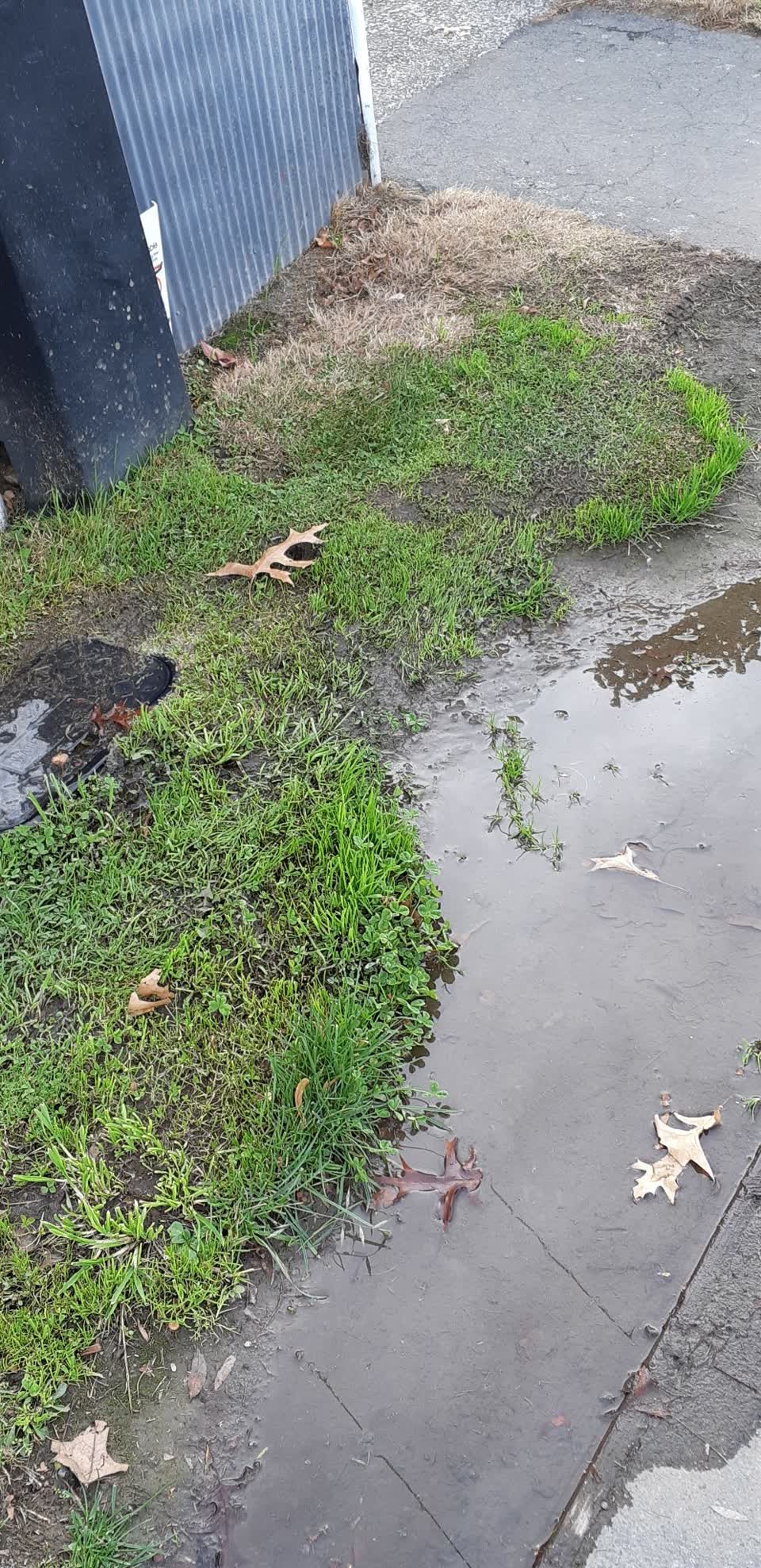 The photograph attached to this water supply report