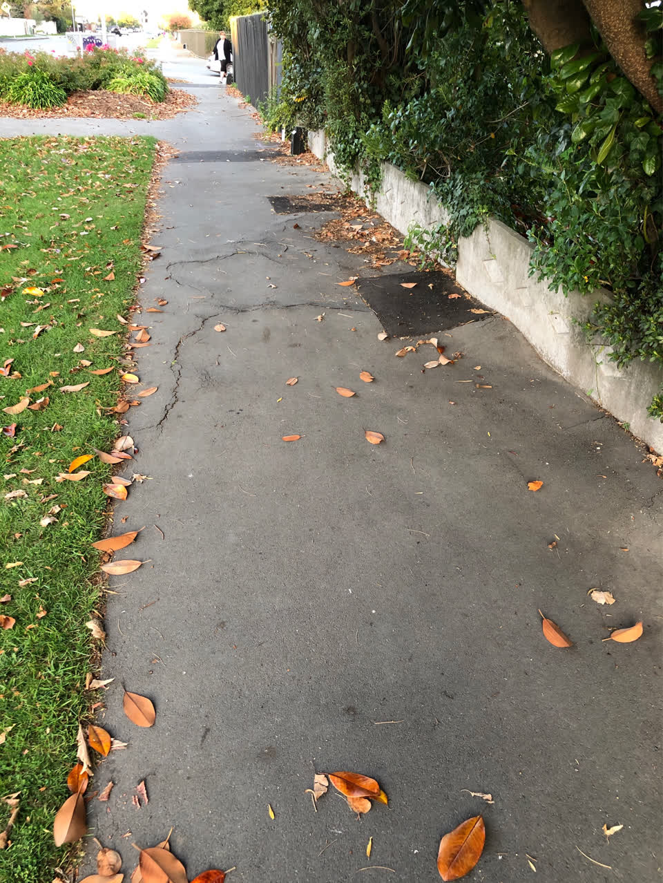 The photograph attached to this roading/streets report