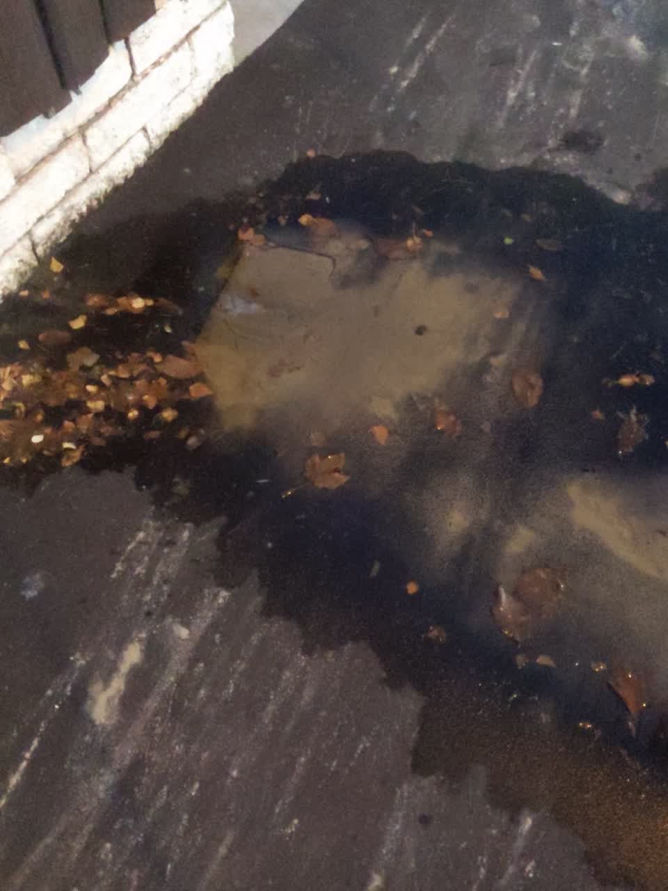 The photograph attached to this water supply report