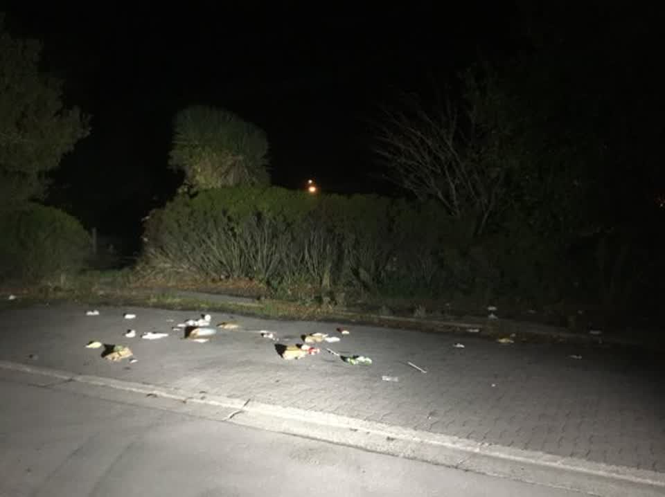 The photograph attached to this rubbish/recycling report