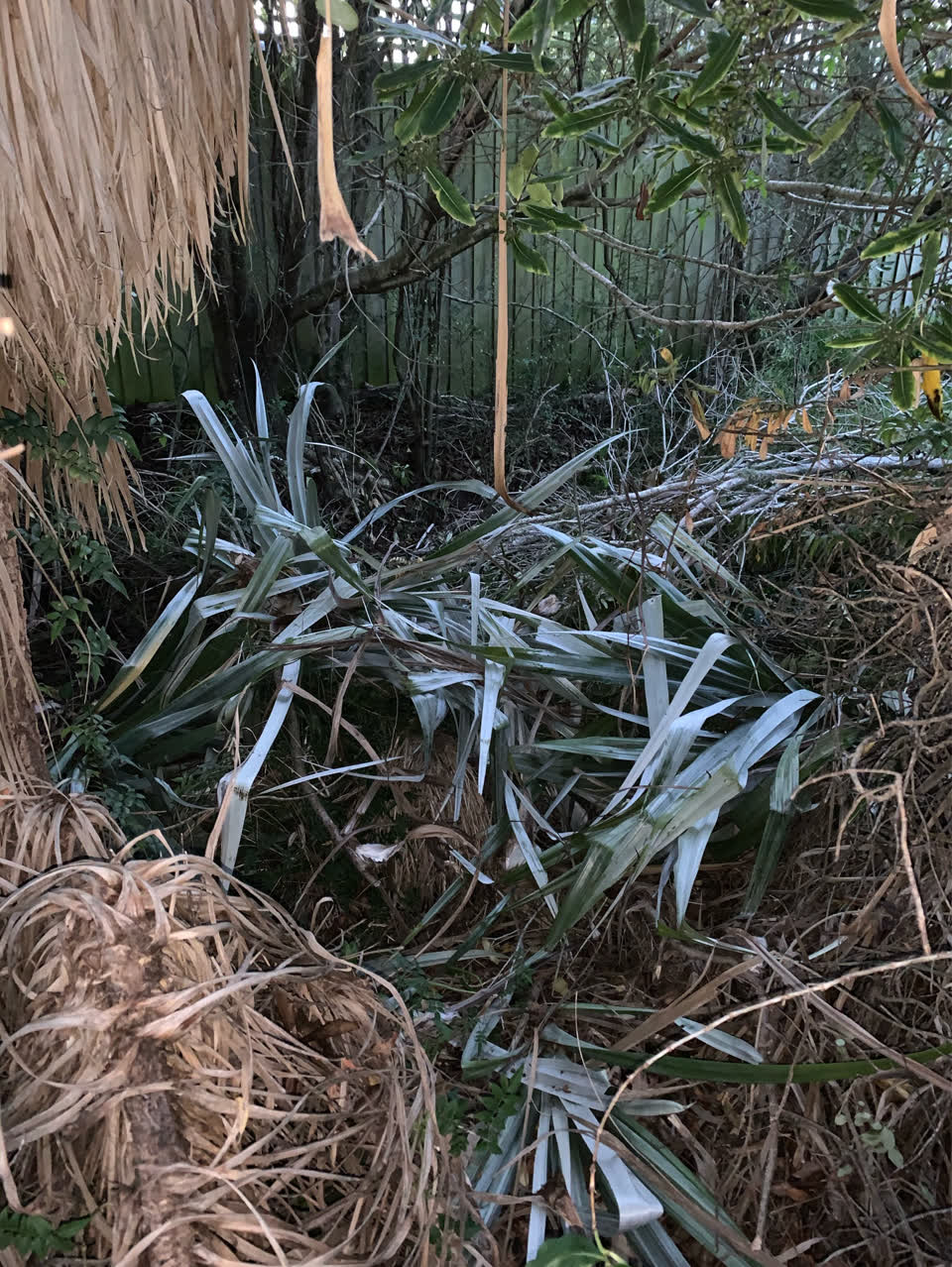 The photograph attached to this wastewater/stormwater report