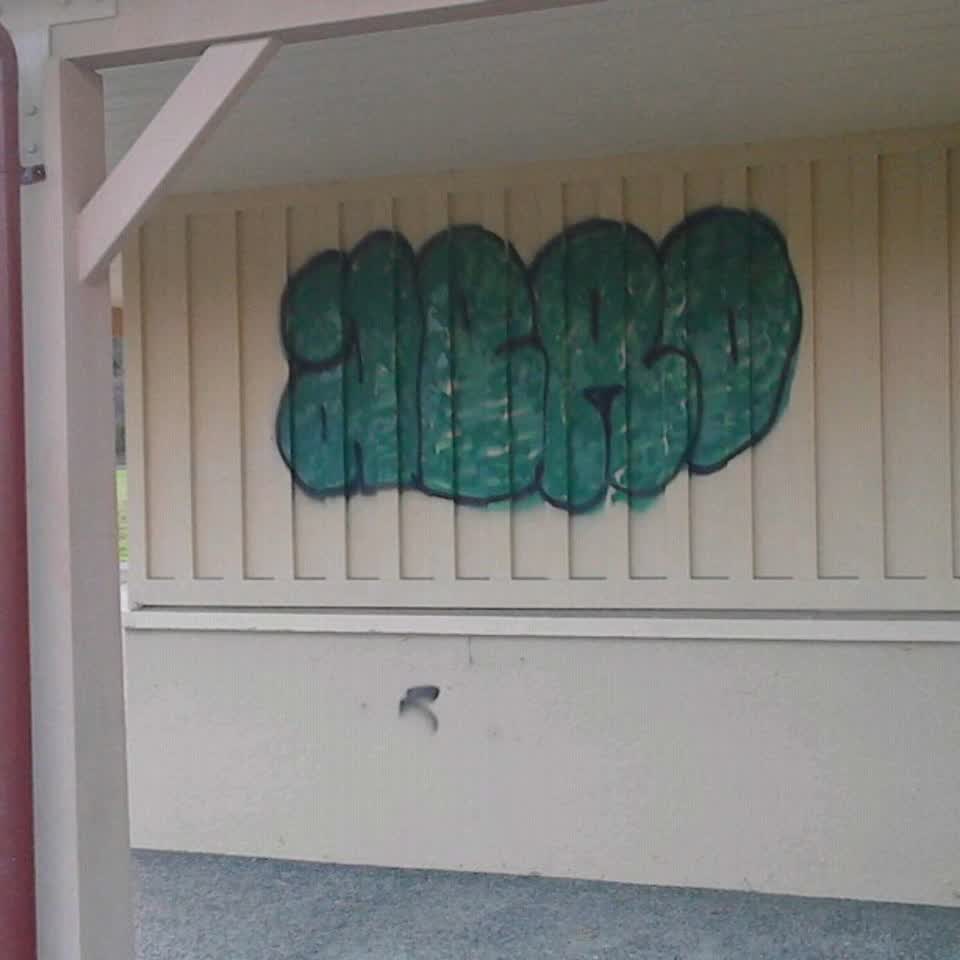 The photograph attached to this graffiti report