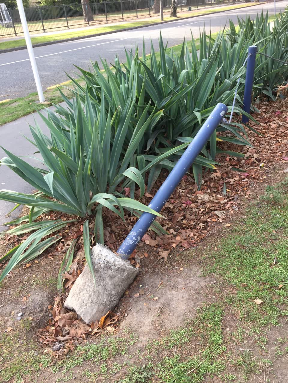 The photograph attached to this parks report