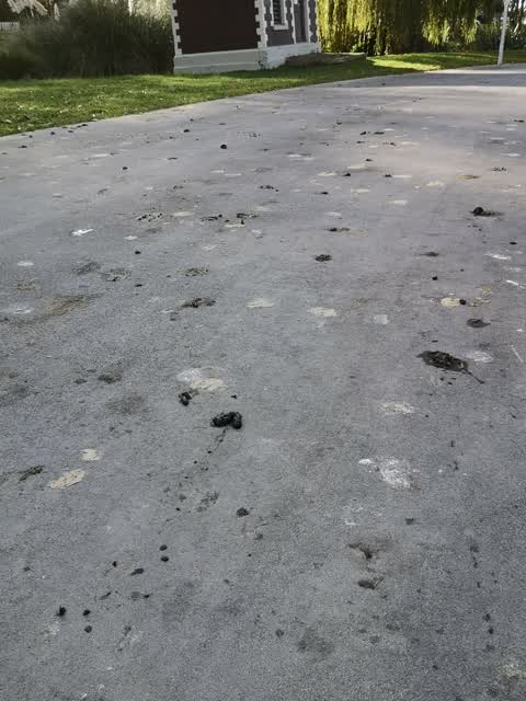 Parks, a report photo