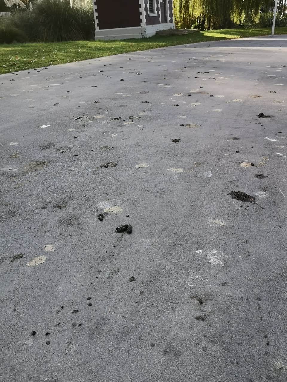 The photograph attached to this parks report