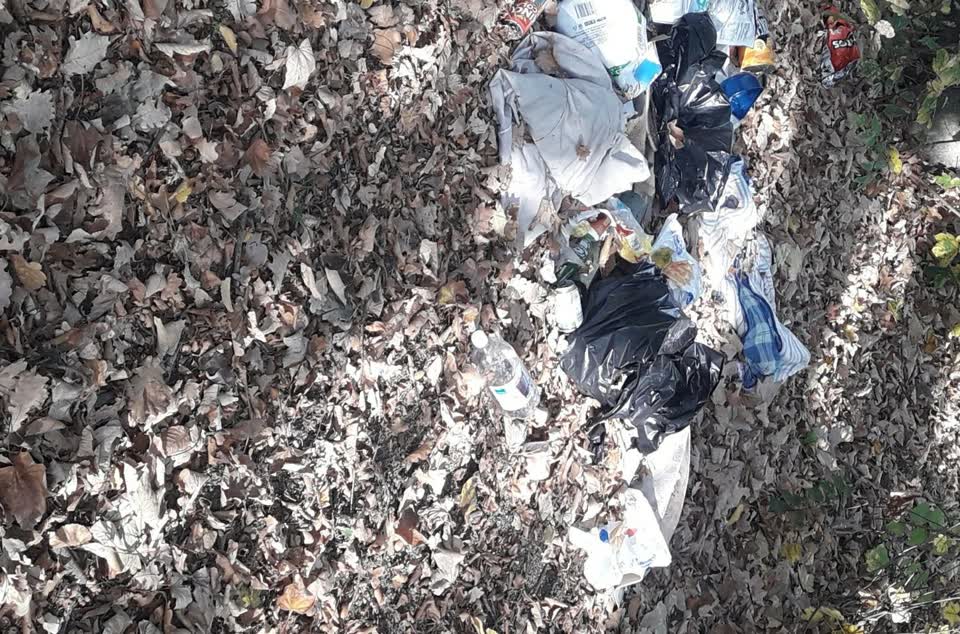 The photograph attached to this parks report