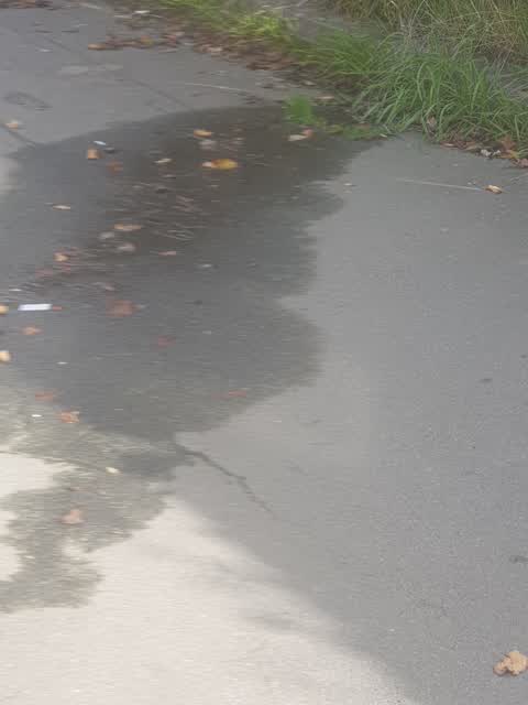Water Supply, a report photo