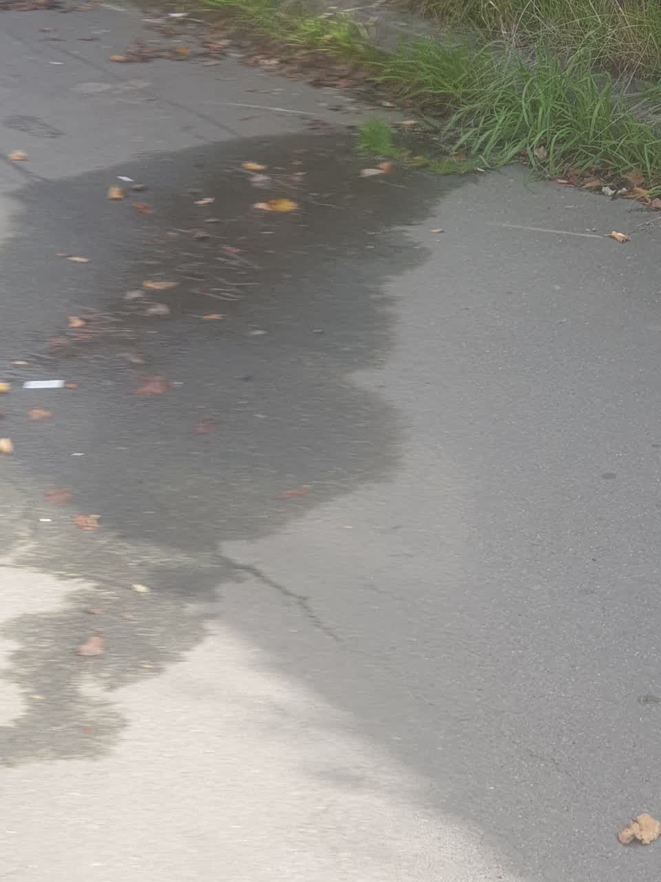 The photograph attached to this water supply report