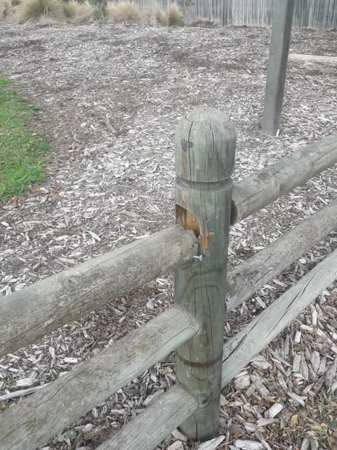 Parks, a report photo