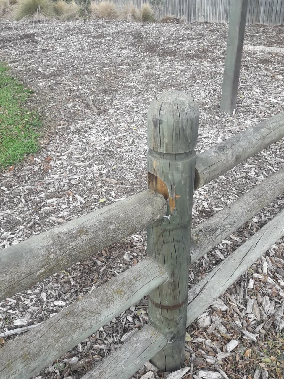The photograph attached to this parks report
