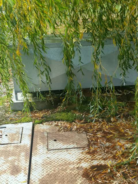 Water Supply, a report photo