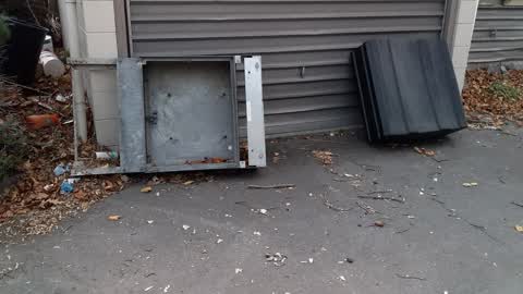 Rubbish/Recycling, a report photo