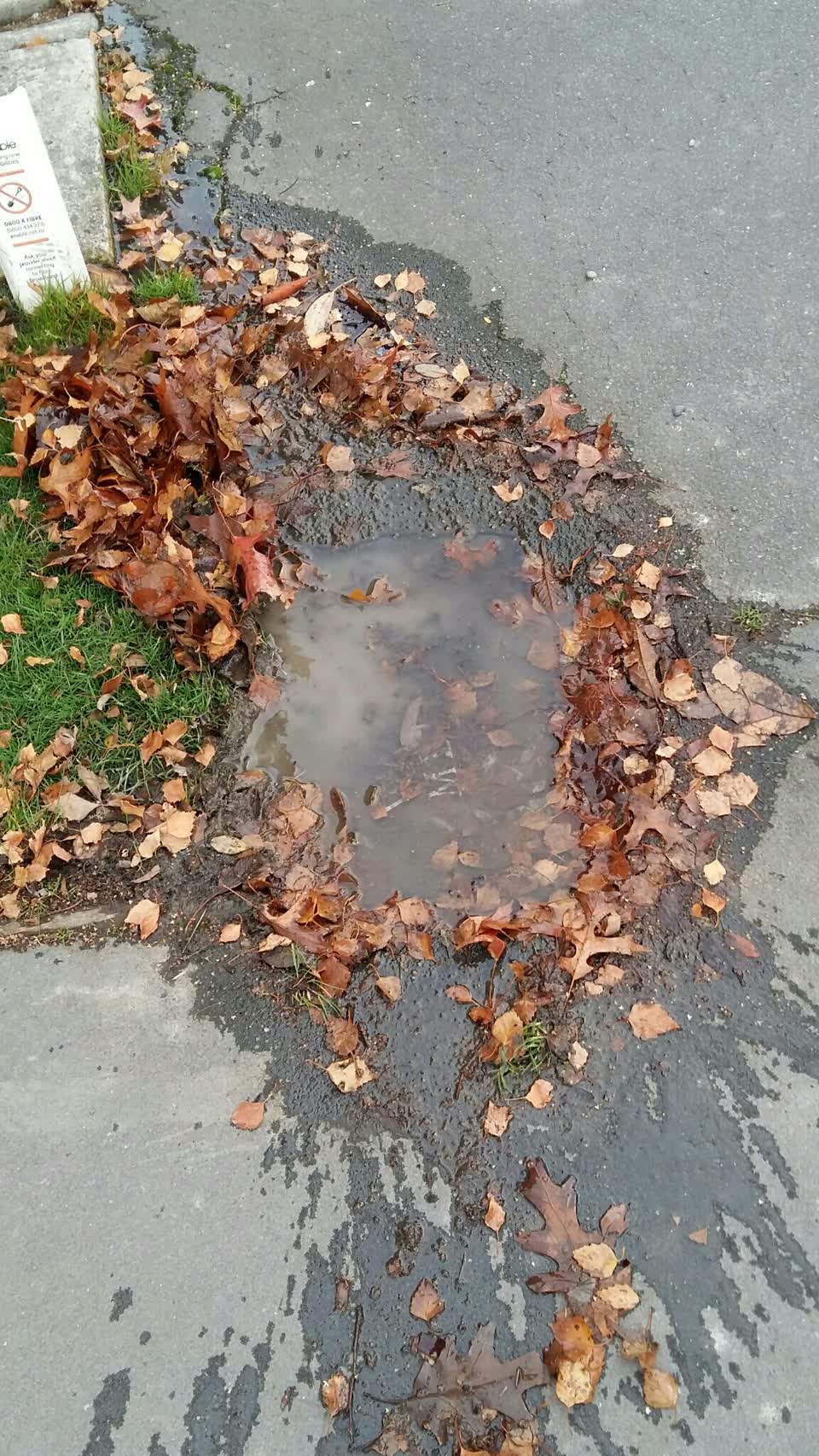 The photograph attached to this water supply report