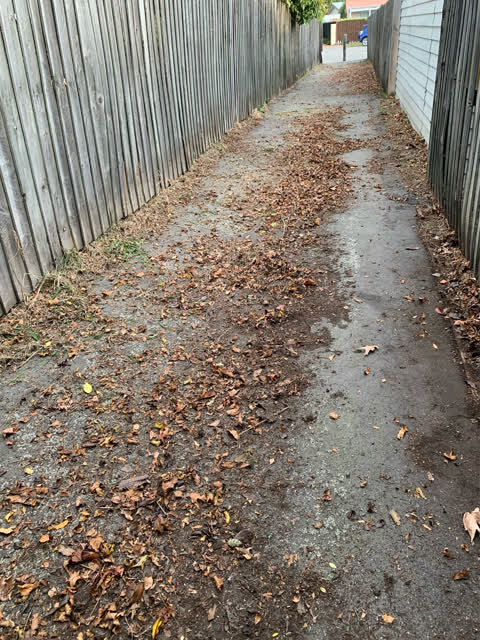 Parks, a report photo