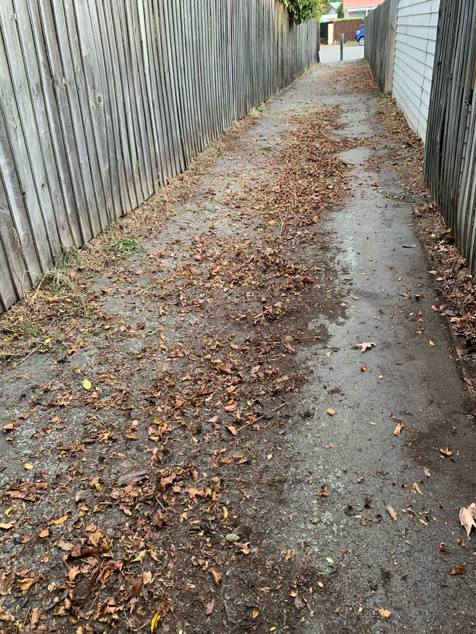 The photograph attached to this parks report