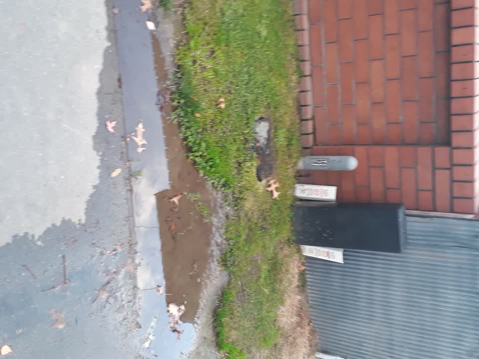 The photograph attached to this water supply report
