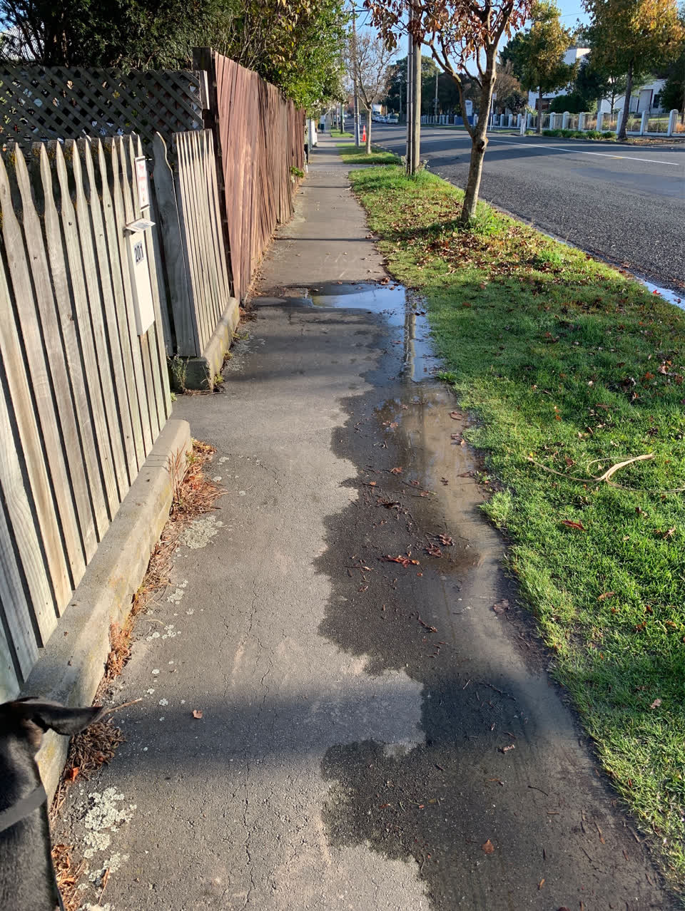 The photograph attached to this water supply report