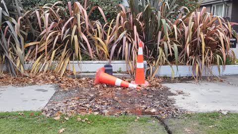 Roading/Streets, a report photo