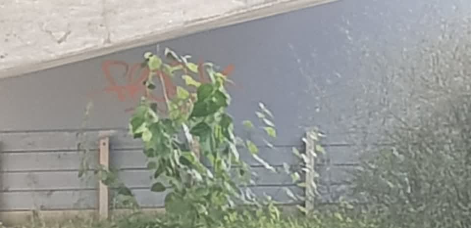 The photograph attached to this graffiti report