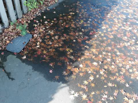Flooding, a report photo