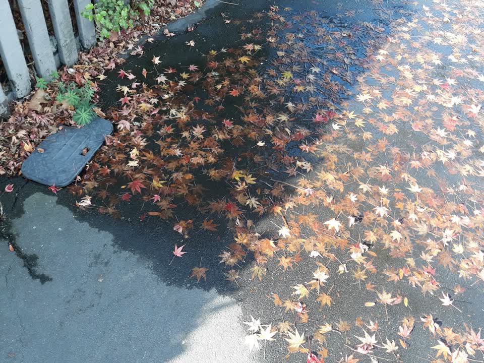 The photograph attached to this flooding report