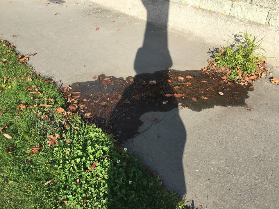 The photograph attached to this water supply report