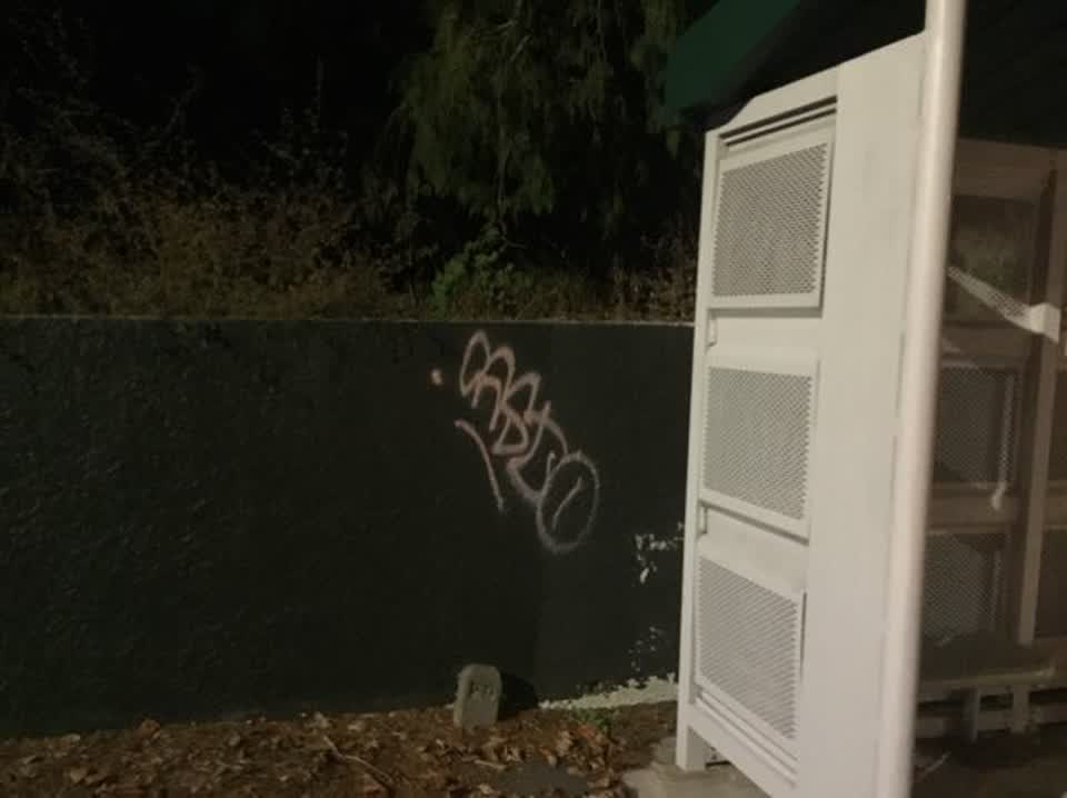 The photograph attached to this graffiti report