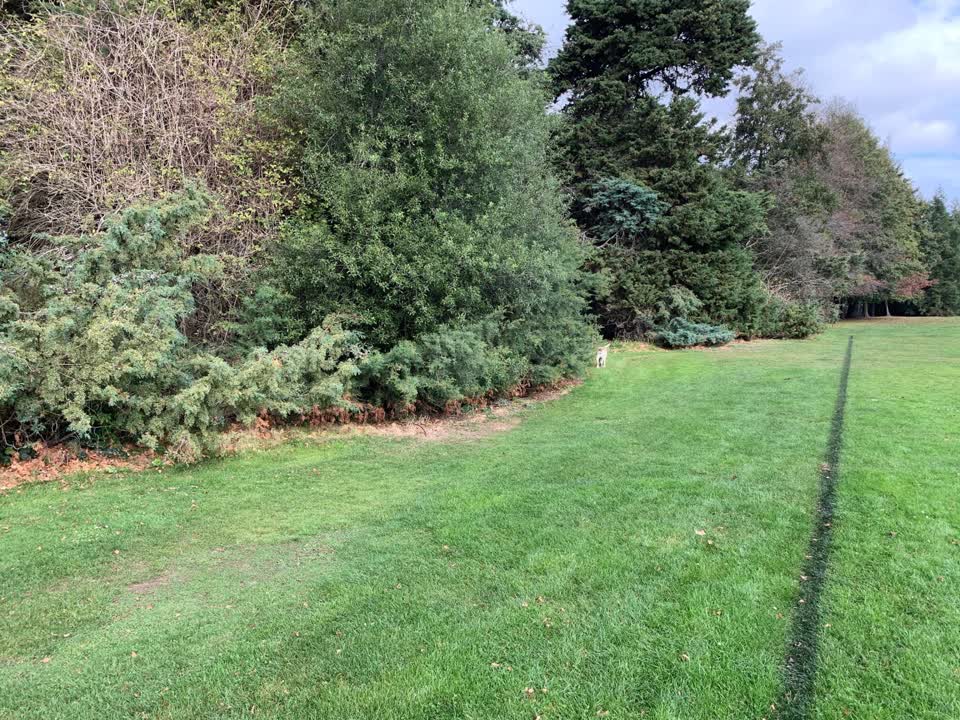 The photograph attached to this parks report