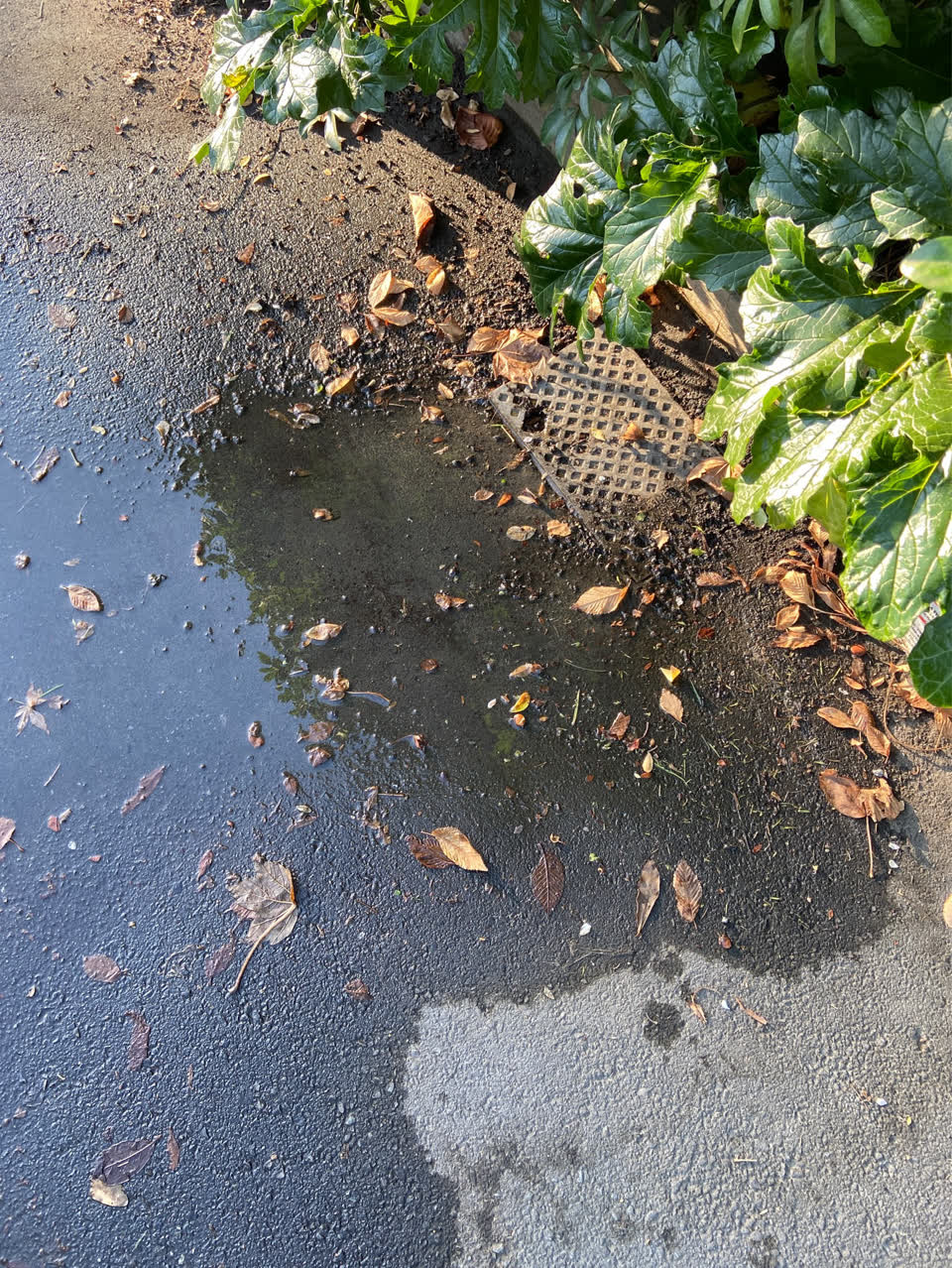 The photograph attached to this flooding report