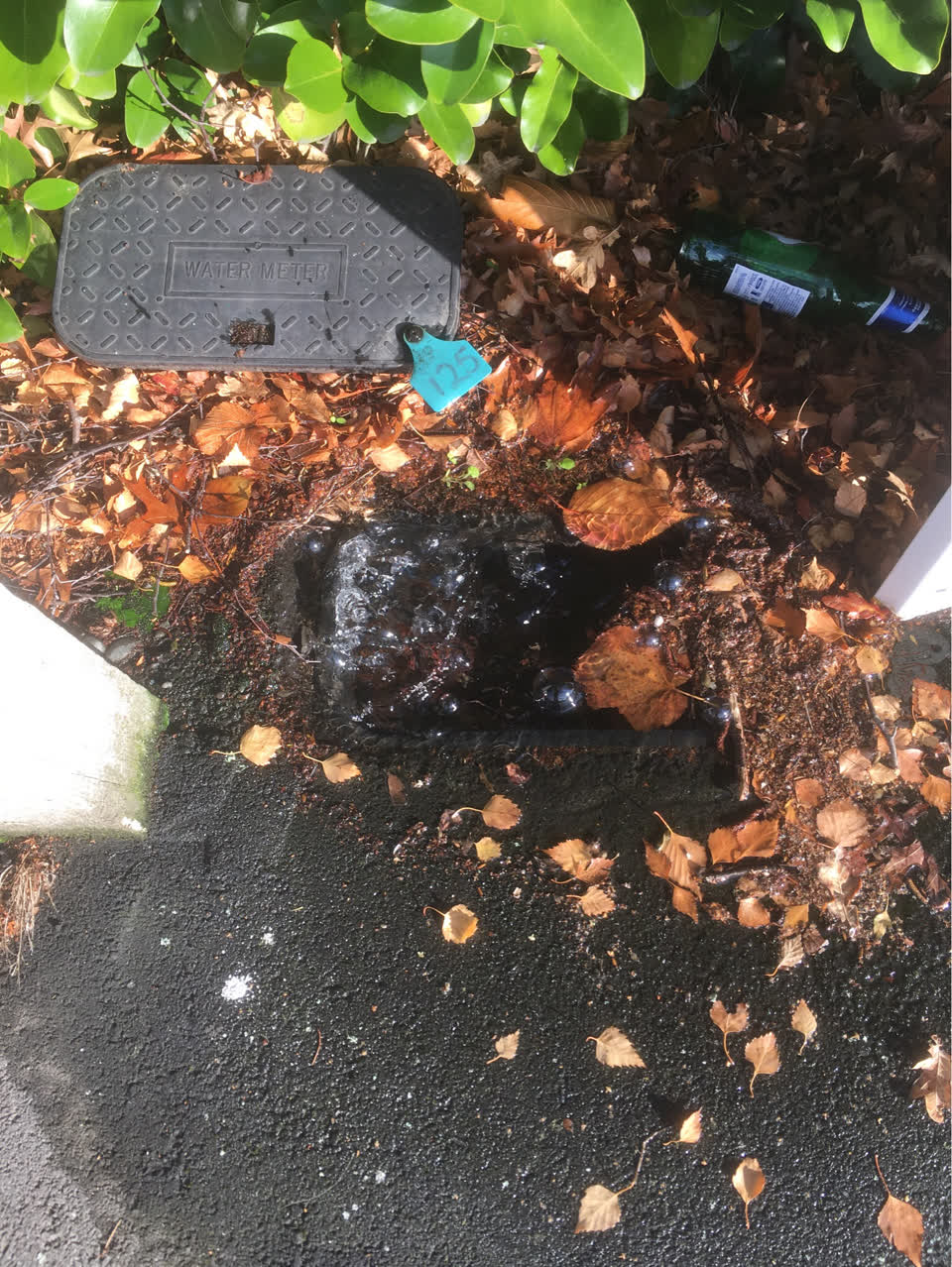 The photograph attached to this water supply report