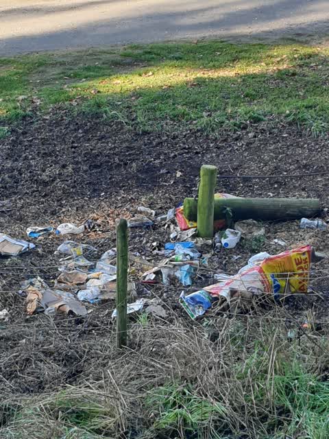 Rubbish/Recycling, a report photo