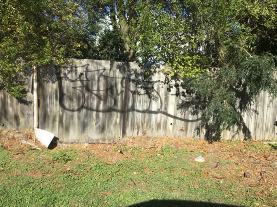 The photograph attached to this graffiti report