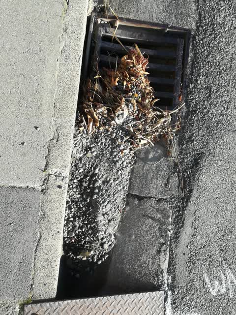 Roading/Streets, a report photo