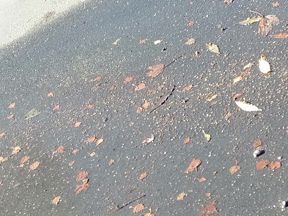 The photograph attached to this water supply report