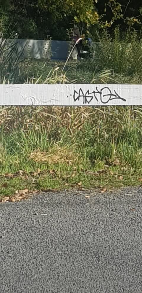 Graffiti, a report photo