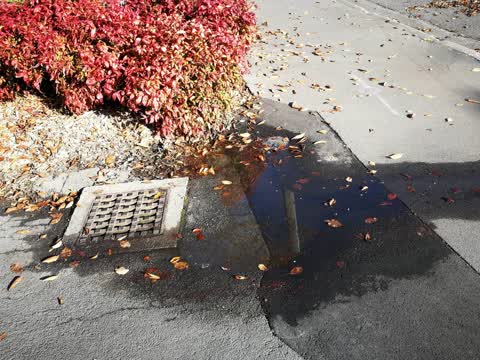 Water Supply, a report photo