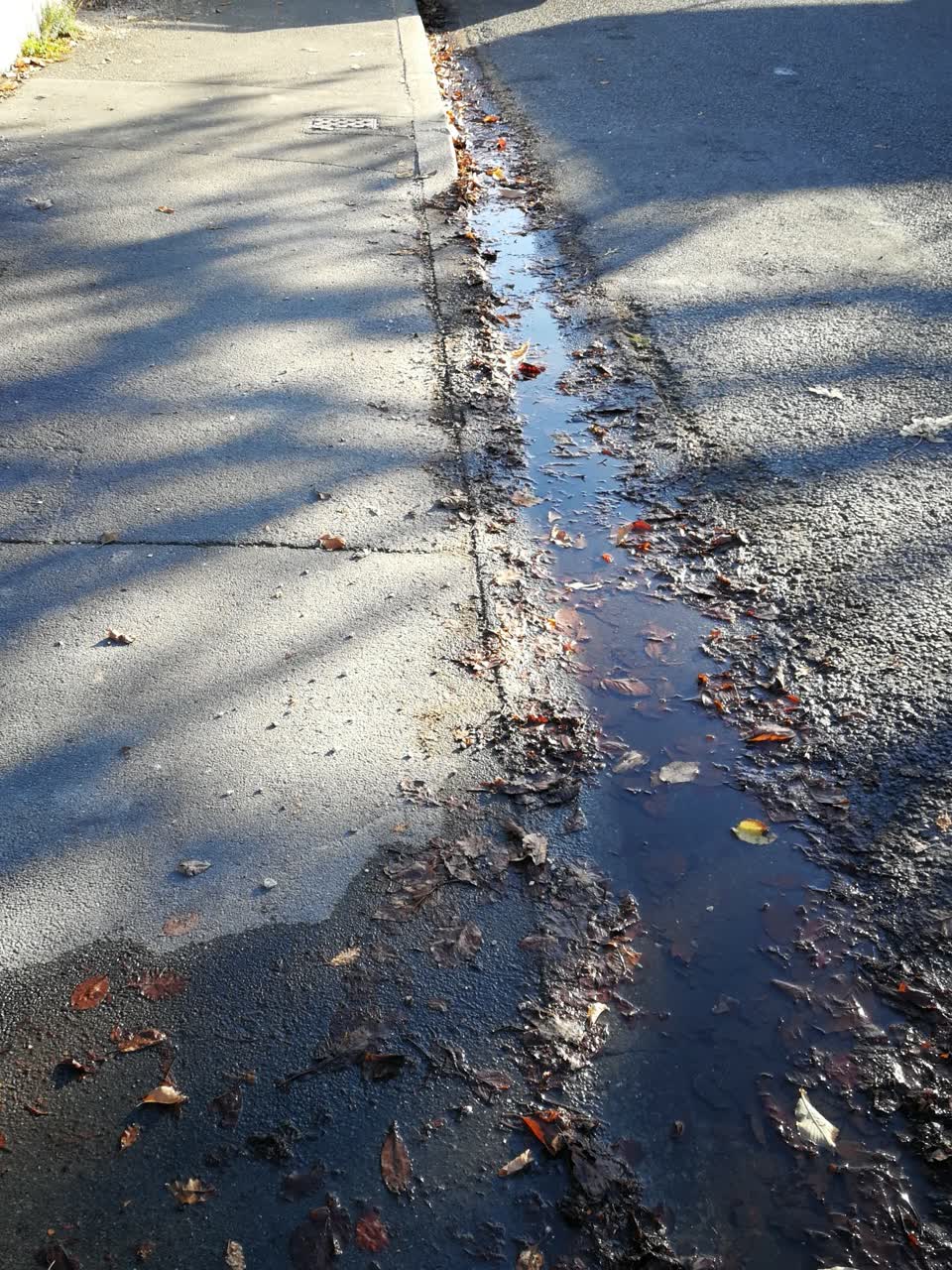 The photograph attached to this water supply report