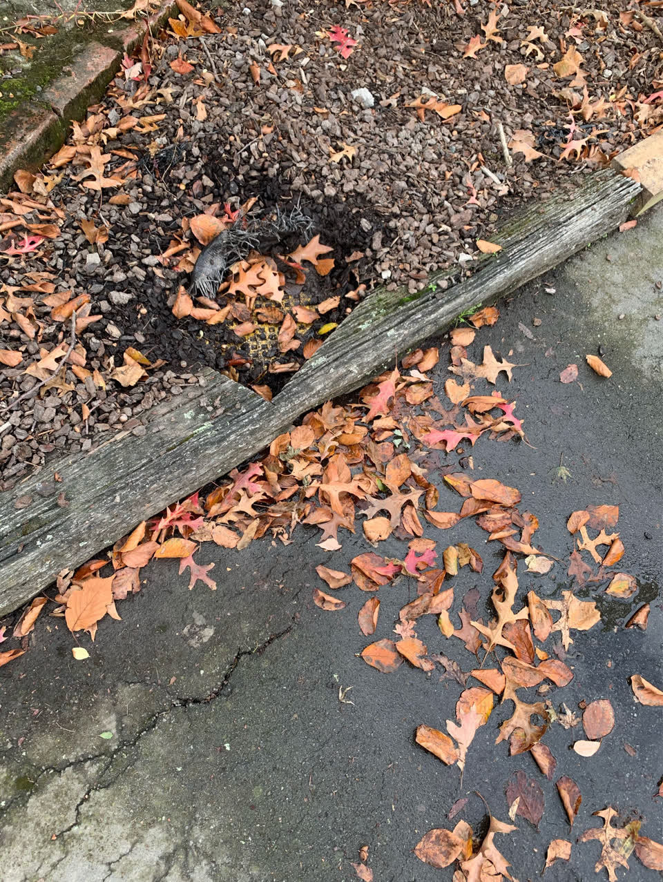 The photograph attached to this water supply report