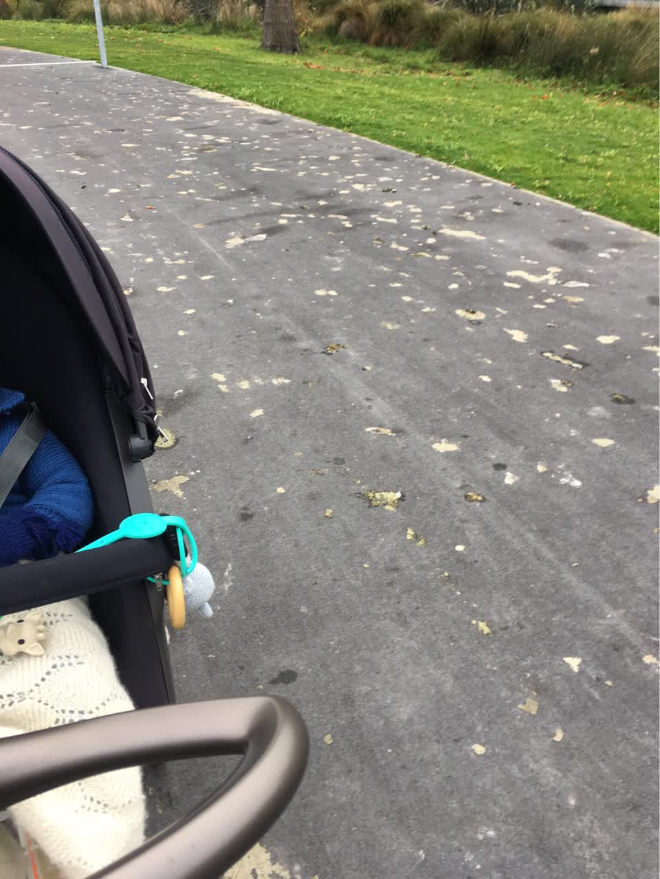 The photograph attached to this parks report