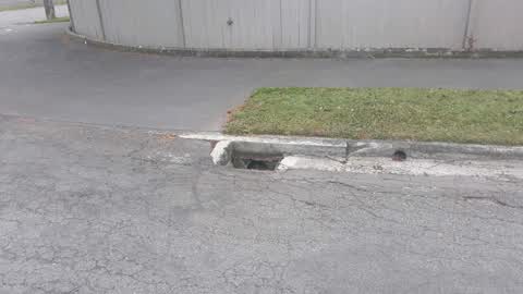 Wastewater/Stormwater, a report photo