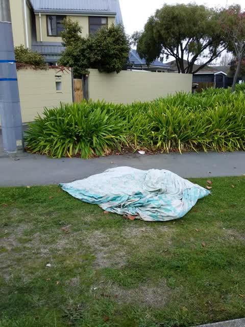 Rubbish/Recycling — a report photo