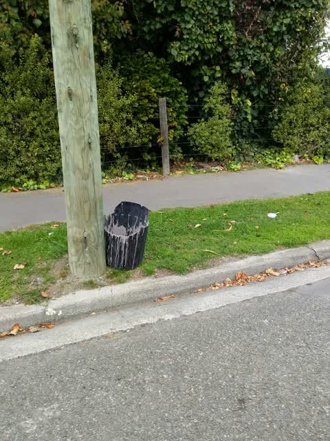 Rubbish/Recycling, a report photo