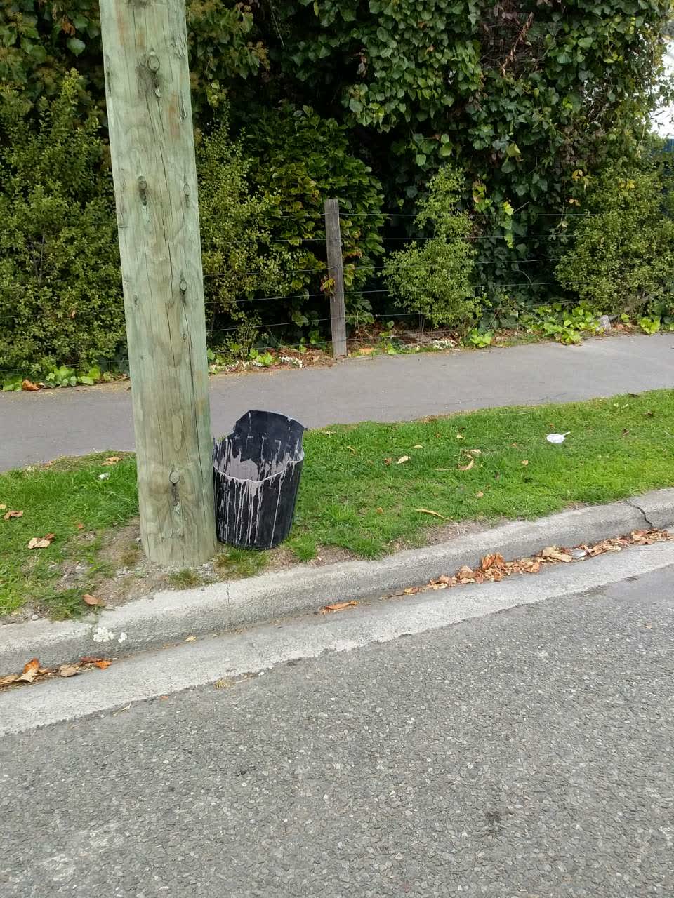 The photograph attached to this rubbish/recycling report