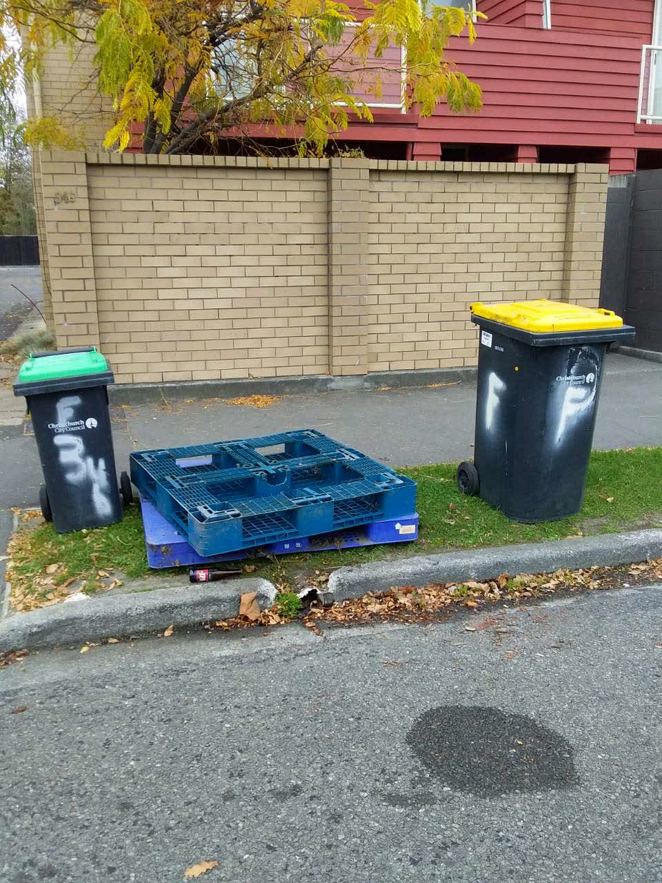 The photograph attached to this rubbish/recycling report