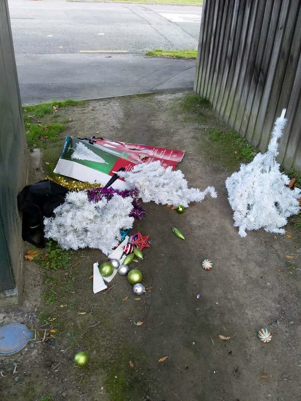 The photograph attached to this rubbish/recycling report