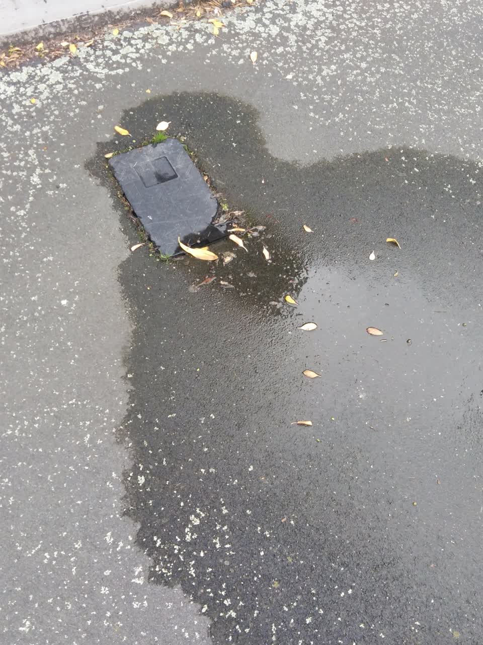 The photograph attached to this water supply report