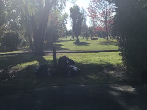 Rubbish/Recycling, a report photo