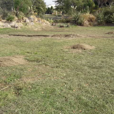 Parks, a report photo